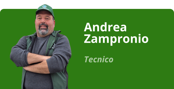 Immagine team