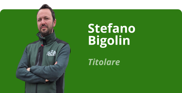 Immagine team