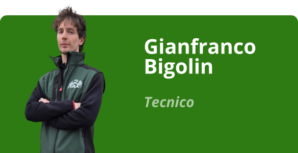 Immagine team