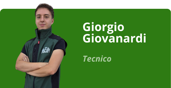 Immagine team