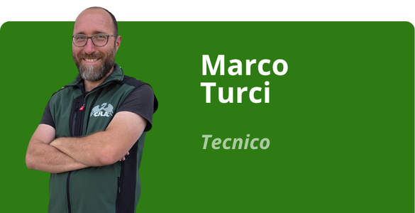 Immagine team
