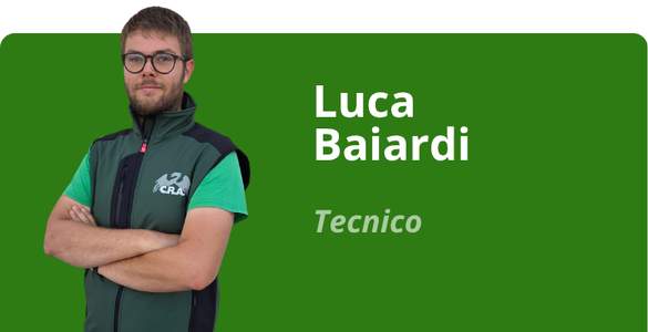 Immagine team