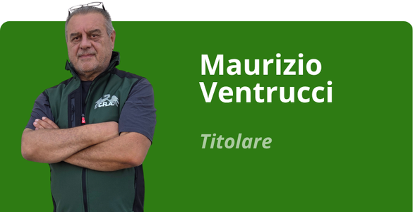 Immagine team