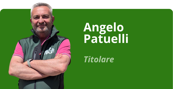 Immagine team