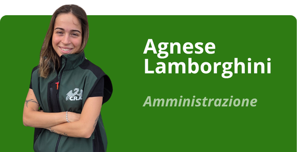 Immagine team