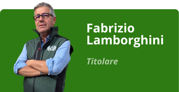 Immagine team