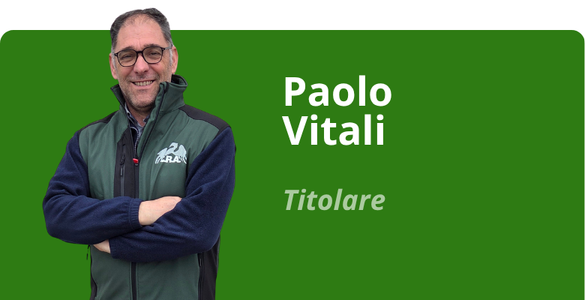 Immagine team