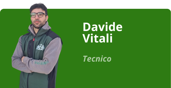 Immagine team