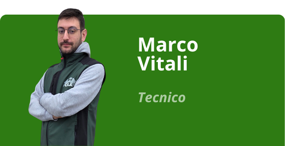 Immagine team