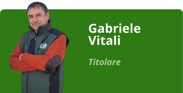 Immagine team