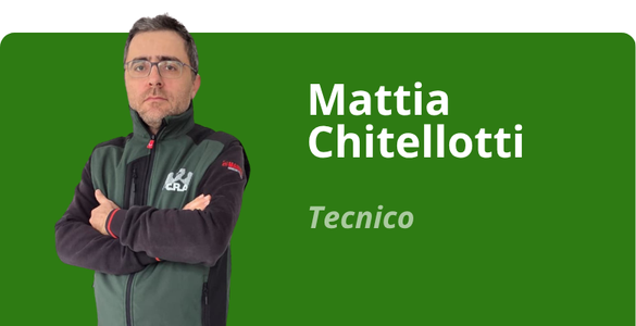 Immagine team