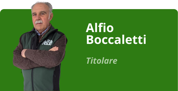 Immagine team
