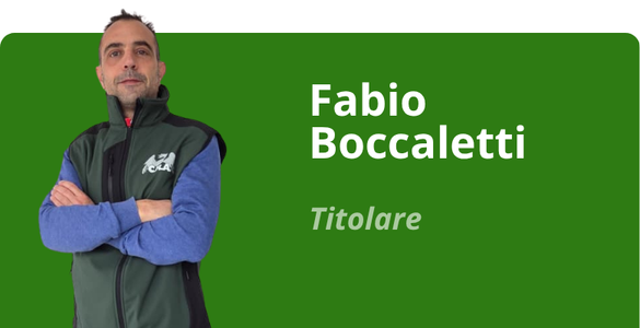 Immagine team