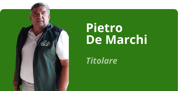 Immagine team