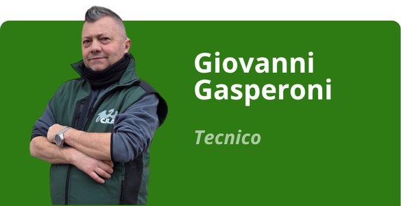 Immagine team