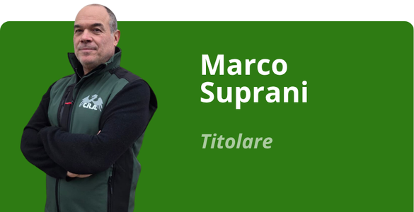Immagine team