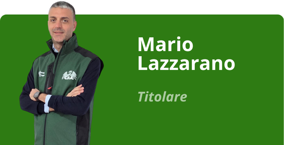 Immagine team