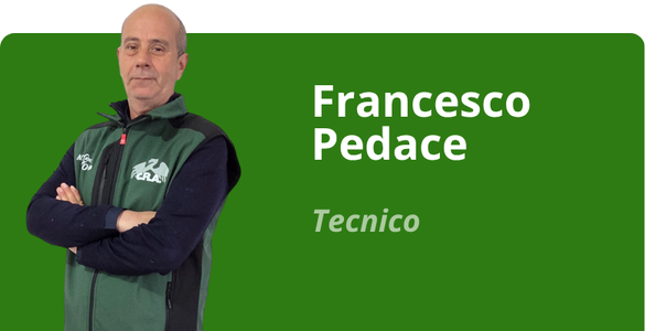 Immagine team