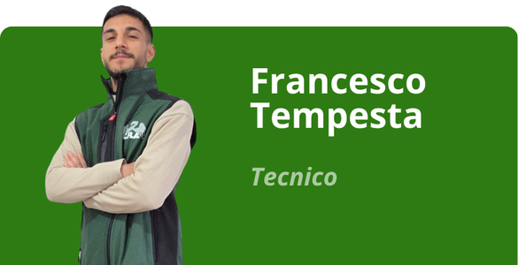 Immagine team