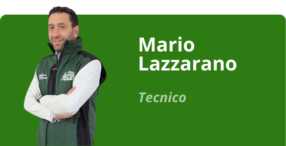 Immagine team