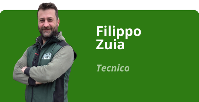Immagine team