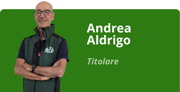 Immagine team