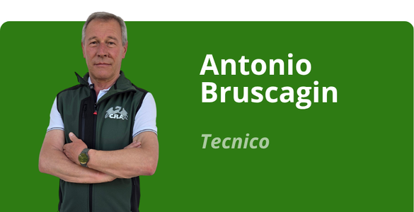 Immagine team