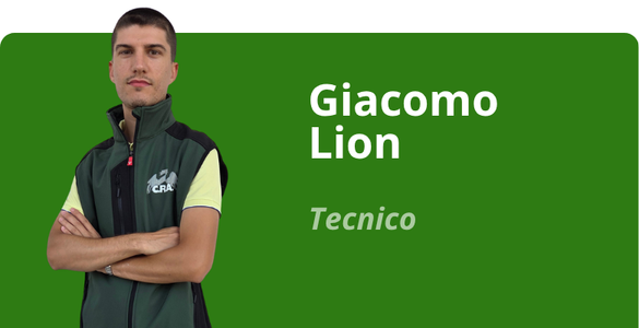 Immagine team