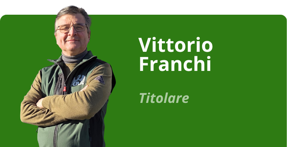 Immagine team