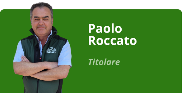 Immagine team