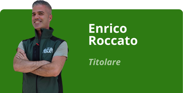 Immagine team