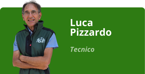 Immagine team