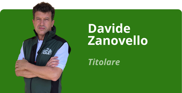 Immagine team
