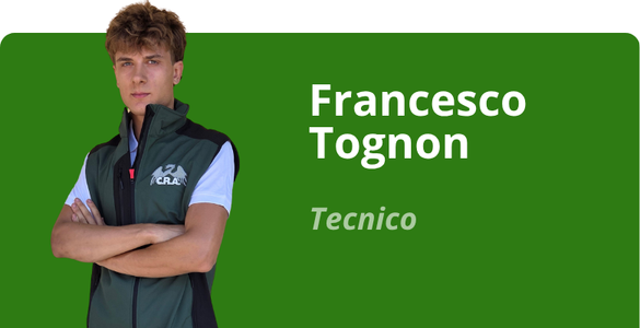 Immagine team