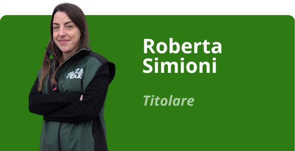 Immagine team