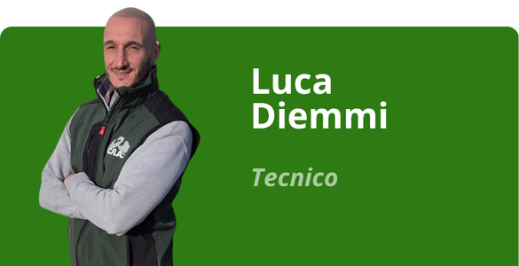 Immagine team