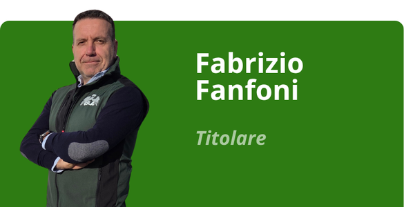 Immagine team