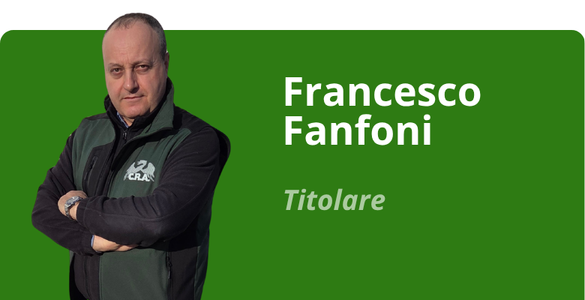 Immagine team