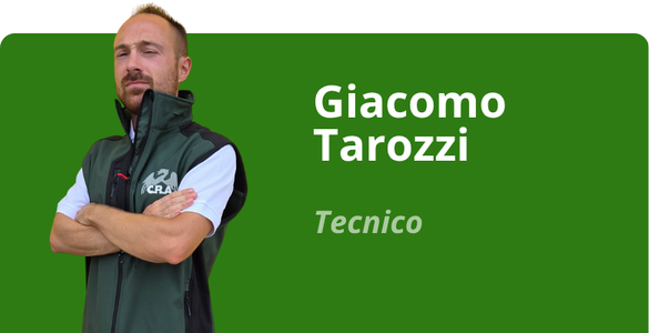 Immagine team