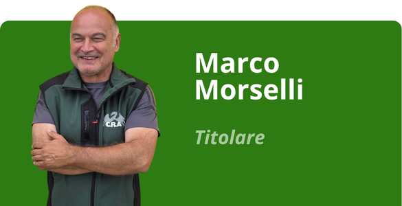 Immagine team