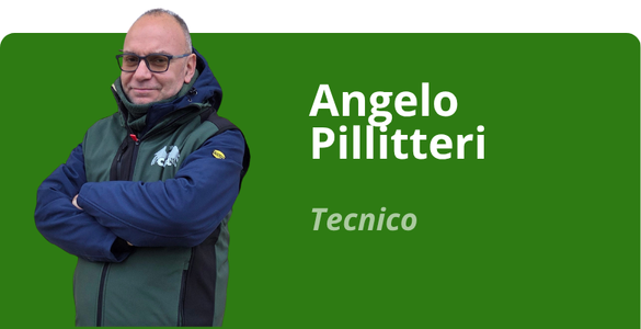 Immagine team