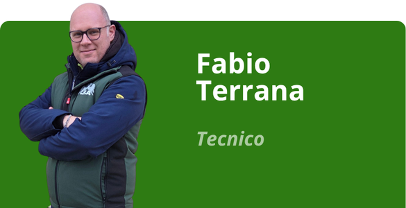 Immagine team
