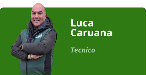 Immagine team