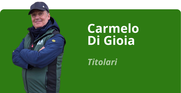Immagine team