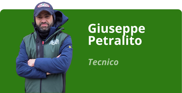 Immagine team
