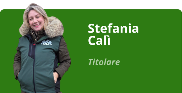 Immagine team