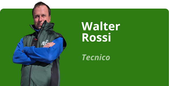 Immagine team