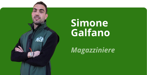 Immagine team