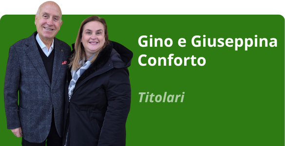 Immagine team