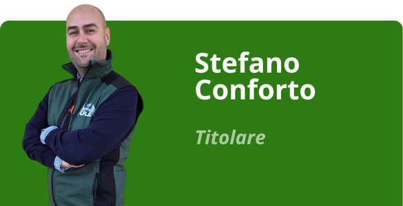 Immagine team